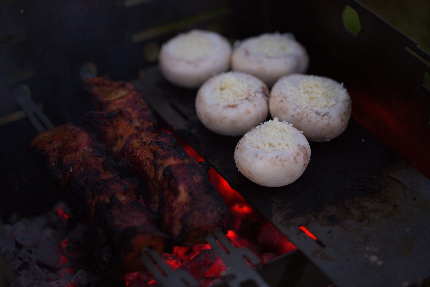 Skewered meat and stuffed mushrooms cooking over glowing coals on the Titan1 grate